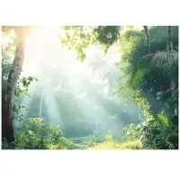 WALLARENA FOTOTAPETE Wald Bäume Natur Vlies Tapete Wohnzimmer 300x210