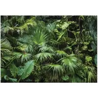 WALLARENA FOTOTAPETE Dschungel Wald Vliestapete Tapete 250x175