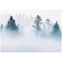 WALLARENA FOTOTAPETE Wald Nebel Natur Vlies Tapete Wohnzimmer 200x140