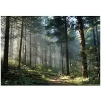 WALLARENA VLIESTAPETE Wald 3D Effekt Natur Schlafzimmer 200x140
