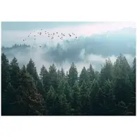 WALLARENA FOTOTAPETE Wald Nenbel 3D Effekt Natur Wohnzimmer 300x210