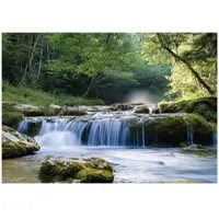 WALLARENA FOTOTAPETE 3D Effekt Wasserfall Wald Natur Tapete Wohnzimmer 350x250