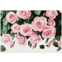 WALLARENA FOTOTAPETE Blumen Rosen Schlafzimmer 250x175