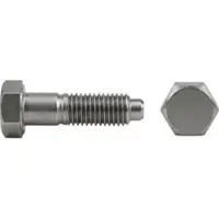 Industrial Quality Supplies Sechskantschraube DIN 564 m.Ansatzspitze AM 10 x 30 22 H (8.8)