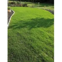 Easygreen Rasen »Trockenrasen 12 m2«, 4