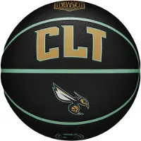 Wilson NBA Team City Collector Charlotte Hornets Basketball