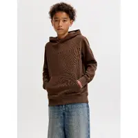 Jack & Jones Star Kapuzenpullover