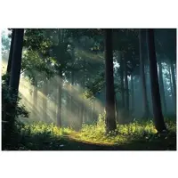 WALLARENA FOTOTAPETE Wald Sonne Natur Wohnzimmer Vlies Tapete 150x105