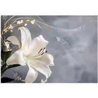 WALLARENA FOTOTAPETE Blumen Blätter Wohnzimmer Vlies Tapete 150x105