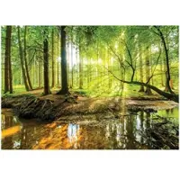 WALLARENA FOTOTAPETE Wald Sonne Vlies Tapete Wohnzimmer 300x210