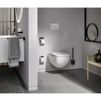 Emco flow Toilettenbürstengarnitur, Bürstenkopf und Griff schwarz, 271513300