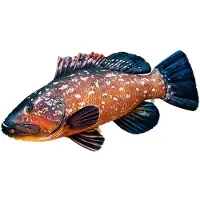 Gaby Das Dusky Grouper Riesenkissen