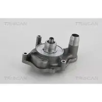 TRISCAN Wasserpumpe 8600 29051