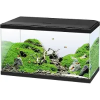 Ciano Aquarium Set inkl. Abdeckung LED Beleuchtung Filtersystem inklusive Umwälzpumpe Heizer/Heizstab Innenfilter, schwarz, ca. 60 x 30 x 33,5 cm ca. 58 L (ohne Unterschrank)