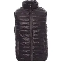 Payper Pullover Casual
