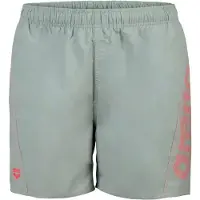 Arena Badehose Fundamentals Logo R