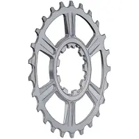 Miche Ritzel letzte Position 11VSH Light