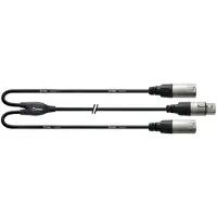 Cordial CFY 0.3 FMM, 2 x XLR (3-pin), Männlich, XLR (3-pin), Weiblich, 0,3 m, Schwarz