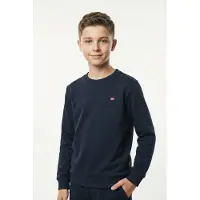 Napapijri Sweatshirt, klassische Sweatshirt-Ausführung, aus Baumwolle und Polyester