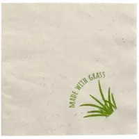 Papstar 250 Servietten, 2-lagig 33 x 33 cm 1/8-Falz natur mit Grasanteil