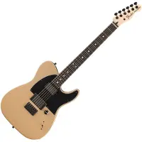 Fender Jim Root Telecaster Ebony-Griffbrett Shoreline Gold
