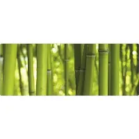 MySPOTTI Badrückwand aqua Bambus 120x45 cm