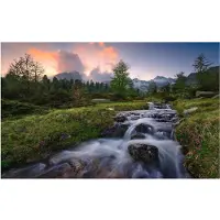 Overig Vliestapete "Digitaldruck Vlies - Wild Paradise - Größe 450 x 280 cm" bedruckt glatt Wohnzimmer, Schlafzimmer