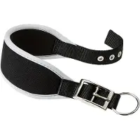 Ferplast Ergocomfort 25 Mm 46 Cm Hundehalsband