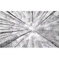 Overig Vliestapete "Digitaldruck Vlies - Weiss-Blau - Größe 450 x 280 cm" bedruckt glatt Wohnzimmer, Schlafzimmer