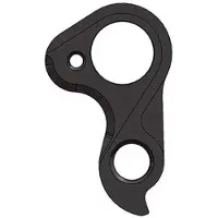 Pilo D870 Colnago Schaltauge