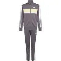Adidas Seasonal Essentials Tiberio 3 Stripes Tricot Trainingsanzug