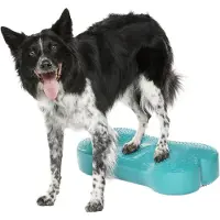 FitPAWS K9Fitbone - Aqua