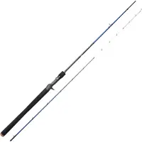 Savage Gear 2,03m 100g M SGS6 Ika & Jig - Baitcaster Spinnrute
