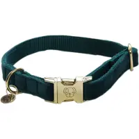 Kentucky Velvet Hundehalsband
