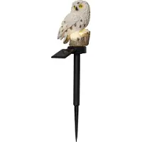 Star Trading 482-25, Leichte Dekorationsfigur, Beige, 1 Glühbirne(n), LED, 0,06 W, Akku