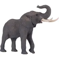 Mojo Fun African Elephant, 3 Jahr(e), Wildlife, Grau, Weiß, Polyvinylchlorid (PVC)
