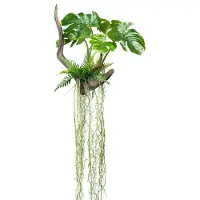 Creativ Green Kunstpflanze "Splitphilodendron" Pflanze als Hänger auf Wurzel mit Farnzweigen und Luftwurzeln