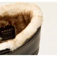 Ariat Wythburn II Sherpa Waterproof Stiefel