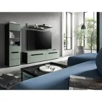 Freiraum Wohnwand >Canu< in Basalt Grau / Smoke Green - 221x141x33cm (BxHxT)