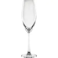 Olympia 6 Cordoba Champagnerflöten 21cl - Sektgläser - Gläserspülmaschinenfest