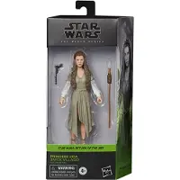 Hasbro Leia Rückkehr Der Jedi-ritter Prinzessin Ewok-dorf Black Series Figur