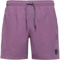 Protest Badeshorts Herren Davey Plum Mauve-S