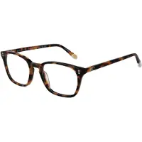 O'Neill Brillenfassung ONB-4013 102 50