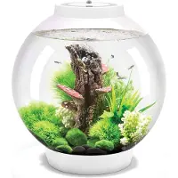 BiOrb 72007 Akvarium biOrb CLASSIC 30 LED weiß 30 l med LED-belysning