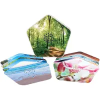 Olympia Nature Box 8001 Tragbarer Lautsprecher