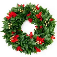 Floordirekt Weihnachtskranz Photinia