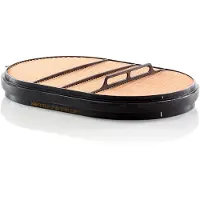 Mann CF 37 001 Sekundärluftfilter 146689 2901936 43863224 für BMC PROFESSIONAL