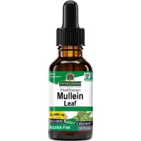 Natures Answer , Mullein Leaf Extract (Kleinblütiges Königkerzenblatt-Extrakt), , Vegan 30 ml Extrakt