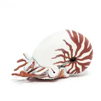 Papo Nautilus