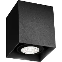 Wever & Ducre Downlight BOX MINI CEILING SURF 1.0 PAR16 Champagner 258120M0 5404037322213